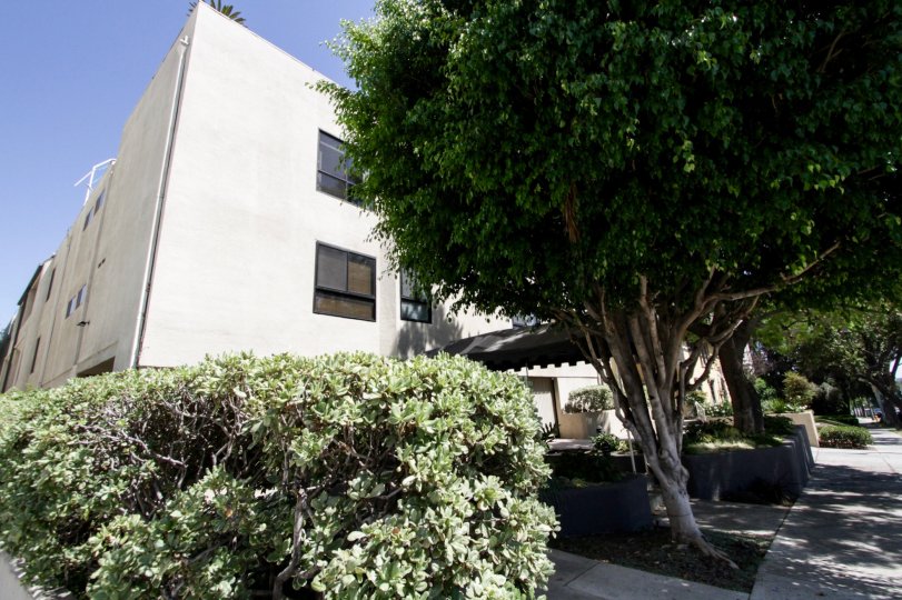 The landscaping of De Voltaire in West Hollywood