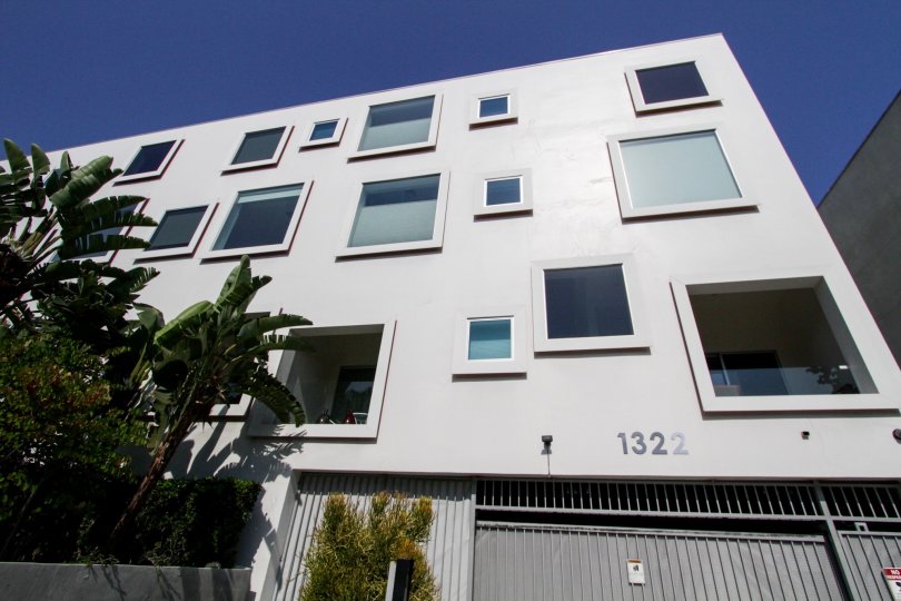 The windows at Habitat 15