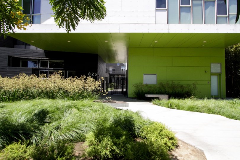 The landscaping seen around Habitat 825 in West Hollywood