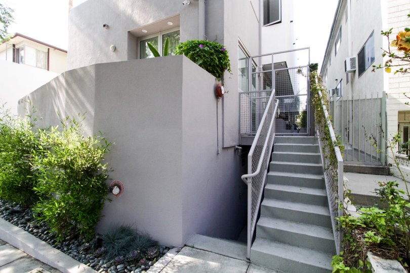 The stairs leading up to Norton Court