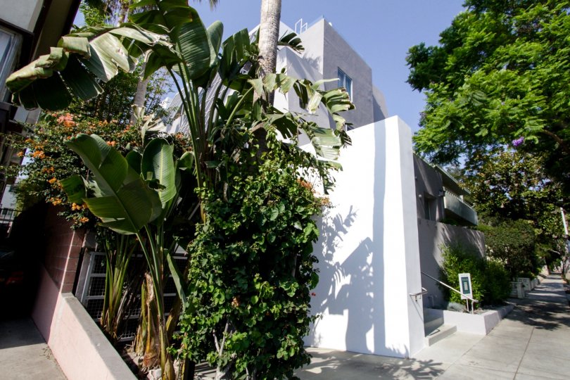 The landscaping around Norton Court