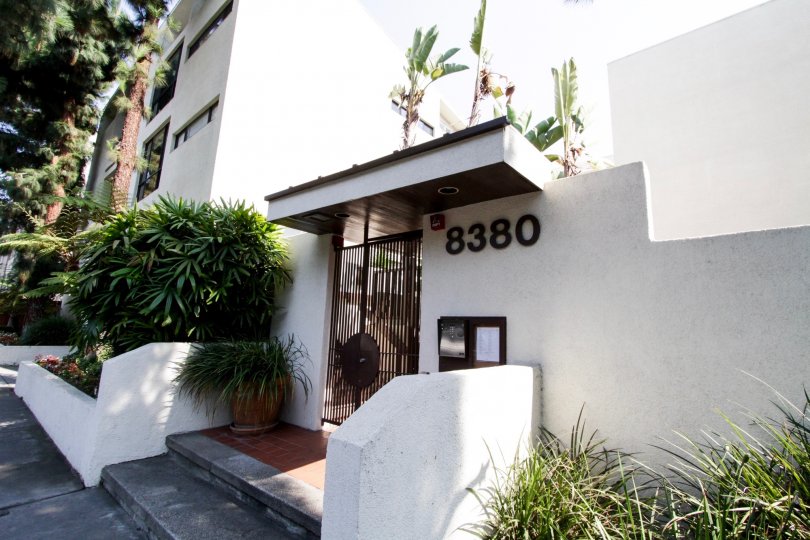 The address of Orlando Waring written on the building