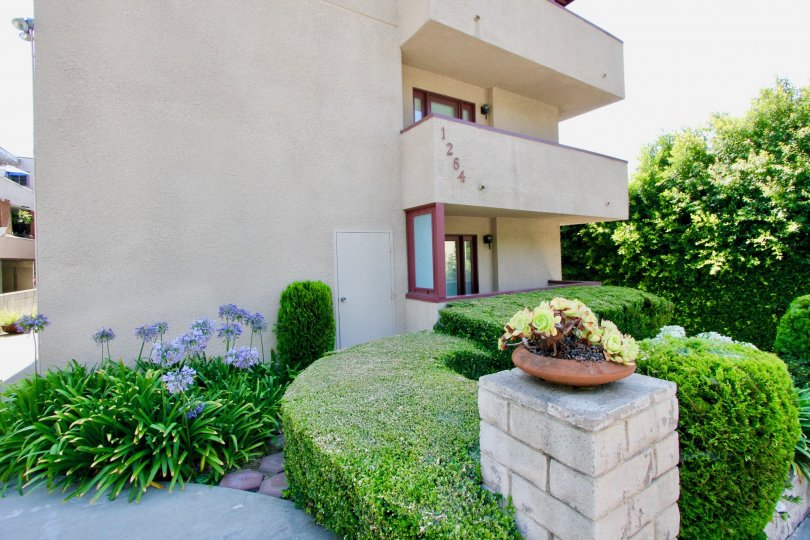 A West Hollywood apartment complex with unique landscaping.