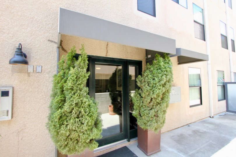 THE PLACE LOOKS LIKE A RESTAURANT WITH A LARGE GLASS DOOR WITH TWO PLANTS AT THE SIDE OF ENTRANCE