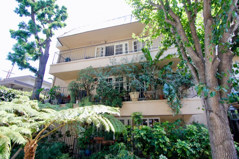 amazing Palm Hancock and her super cool green plants, West Hollywood, California