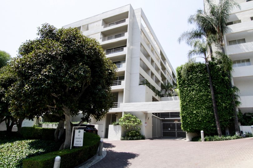 The driveway up to Park Wellington