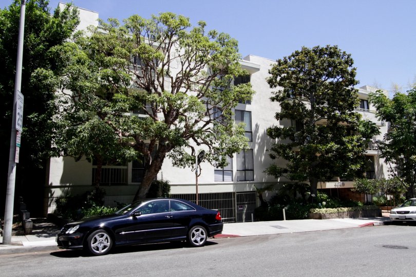 The landscaping around Stanford Place in West Hollywood