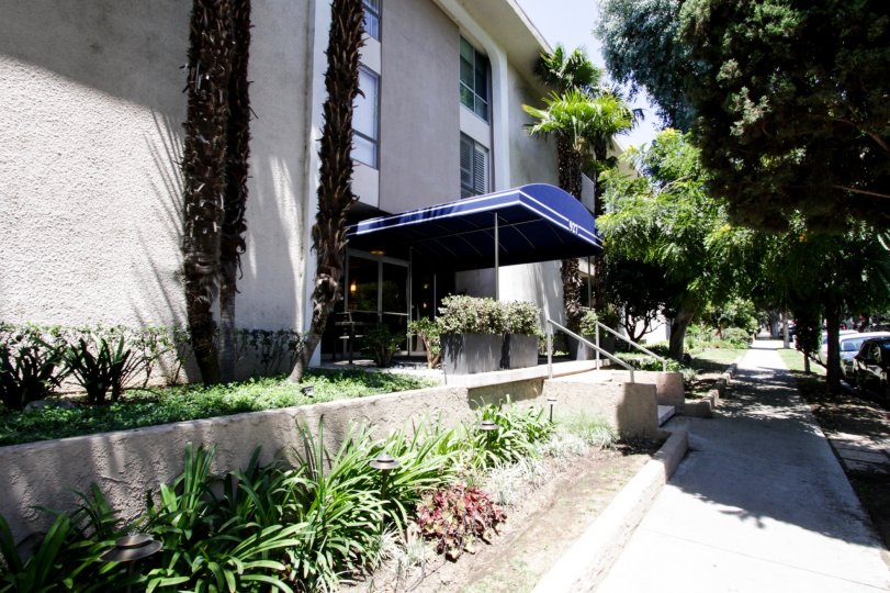 The landscaping seen around The Ascot in West Hollywood