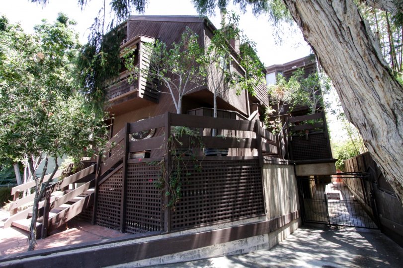 The privacy fence around The Treehouse in West Hollywood