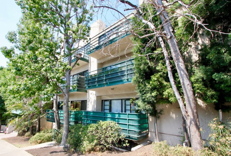 The turquoise balconies and lush trees at Vista Larrabee.