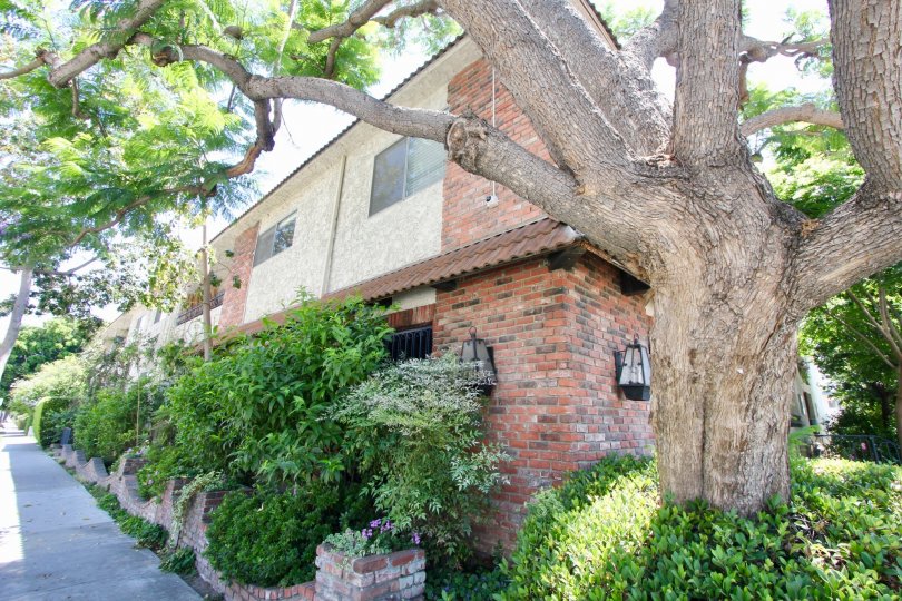 the corner of a building in 11550 Nebraska with a big tree