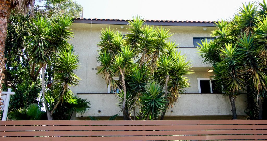 Side of 11574 Ohio community with trees and fence in West LA, CA.