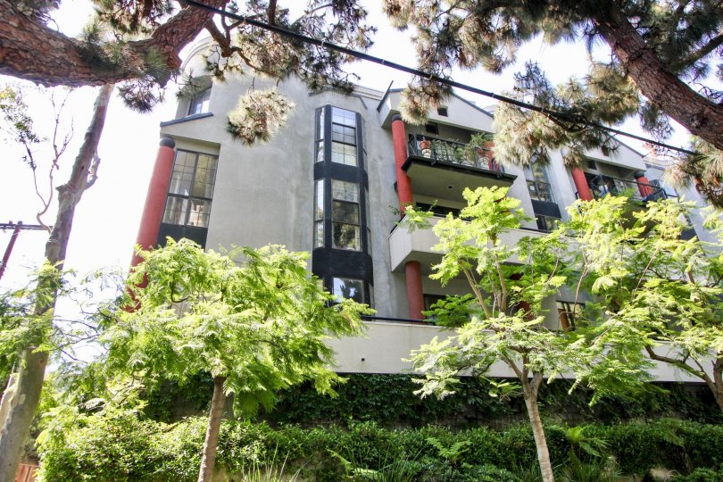 A sunny afternoon over the balconies and trees of 12211 Idaho in West LA.