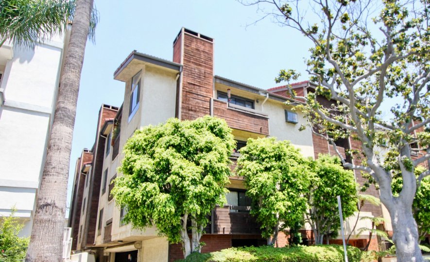A sunny day in the Amherst Villas II with beautiful apartment and big tree infrond of apartment.