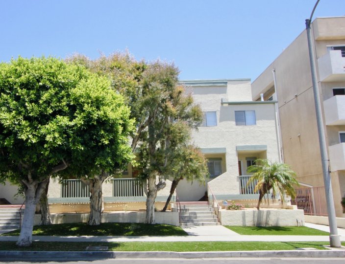 From the street you see some trees and grass and a palm tree in front of the townhouse