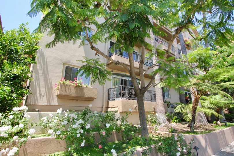 The Federal Plaza Community in West LA, offers balconies and flower beds