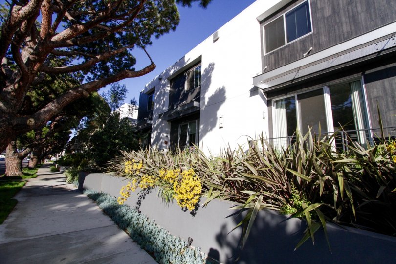 The landscaping seen around National Modern Living