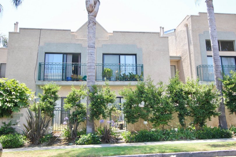 Condos with sliding door patio balconies and palm trees along the sidewalk