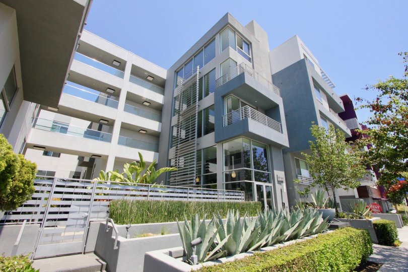 Awesome building of St Johns Wood her surrounding greenery, West La, California