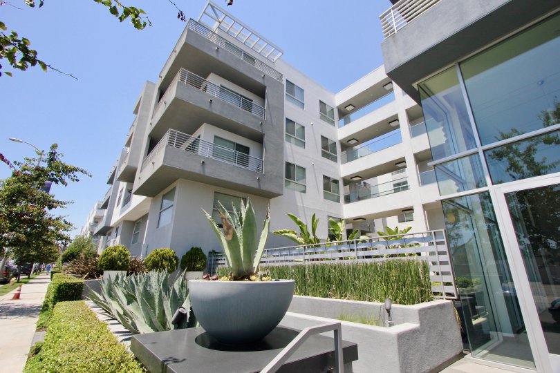 Large windows adorn this modern complex with agauve plants, pottery barn planters and grass gardens