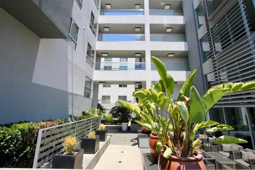 St Johns Wood's magnificent Apartment West La, California
