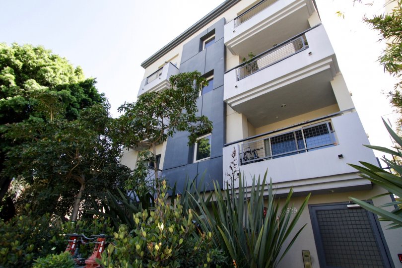 The vegetation seen around Westgate Flats of West LA