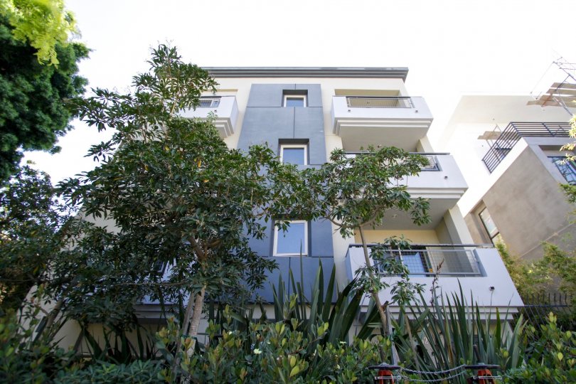 The landscaping seen around Westgate Flats of West LA