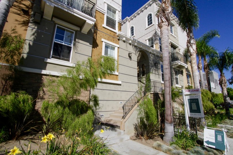 The landscaping seen around Westside at Barrington of West LA
