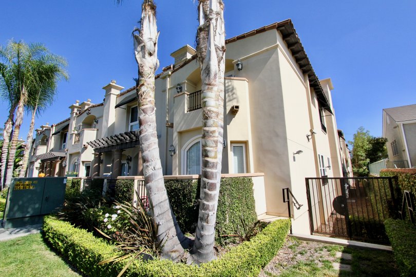 The trees in front of Villas at Kentwood in Westchester, California