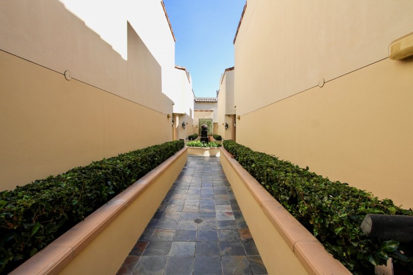 The sidewalk through Villas at Kentwood