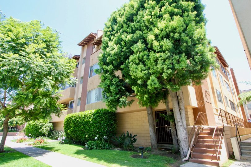 A sunny day in the 1500 camden with garden with tree with balcony nice view