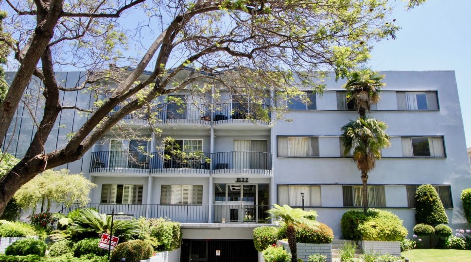 1632 Camden Building has three floor with balcony and surrounded by plants and trees