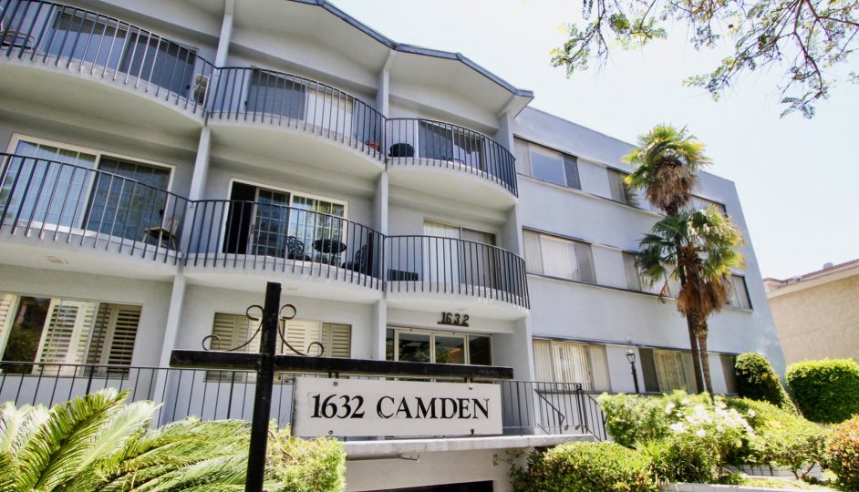 A sunny day in the 1632 Camden with beautiful apartment and a big tree infrond of the apartment.