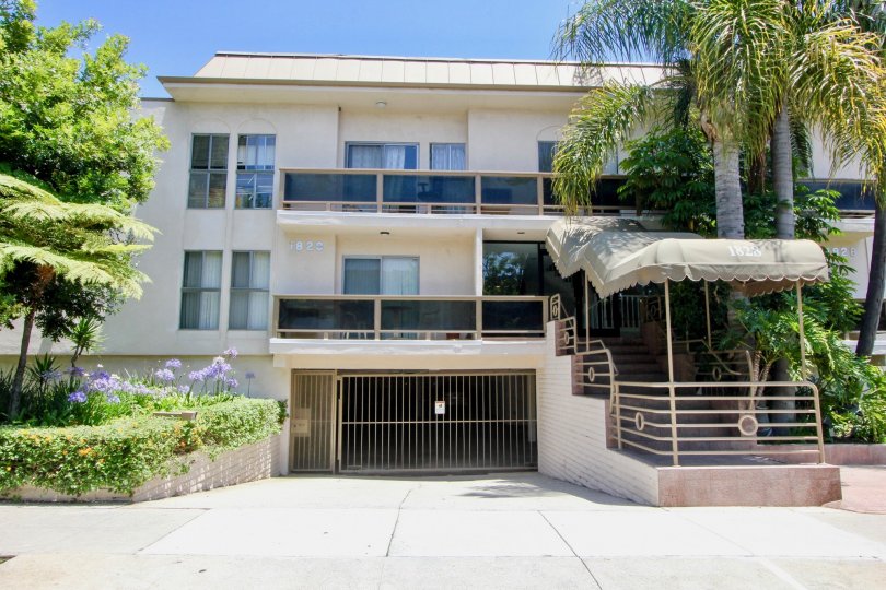 A sunny day in the 1828 Camden with beautiful apartment and big tree infrond of apartment.