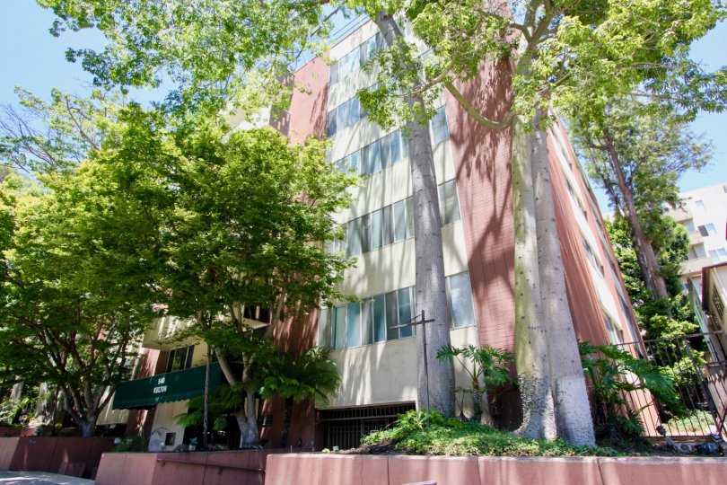 awesome angular view of 540 Kelton with her red and creamy walls surrounded by beautiful trees, Westwood, California