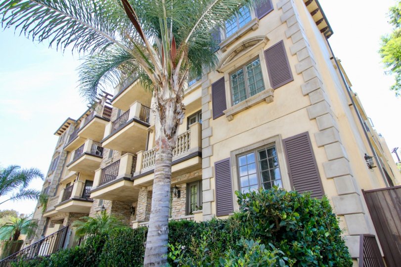 A sunny day in the Borgata Residence with beautiful house and a big tree infrond of the house.