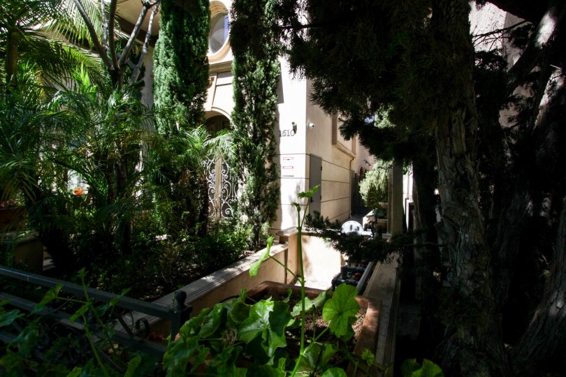 The landscaping around Camden Village