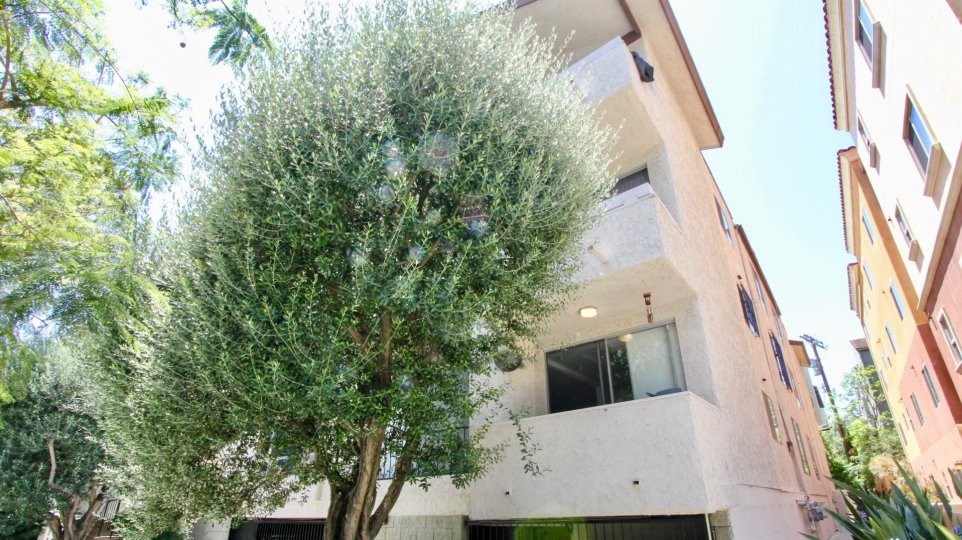 Camden West, westwood, California is A beautiful sky high well construct building which have elegant colour and shiny bright glass windows. Lots of green trees enhance its beauty. A sunny bright day give it an amazing look.