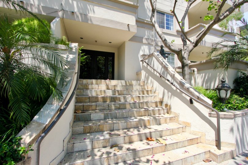A sunny day in the Century Glen Townhomes with beautiful apartment and a big tree infrond of the apartment.