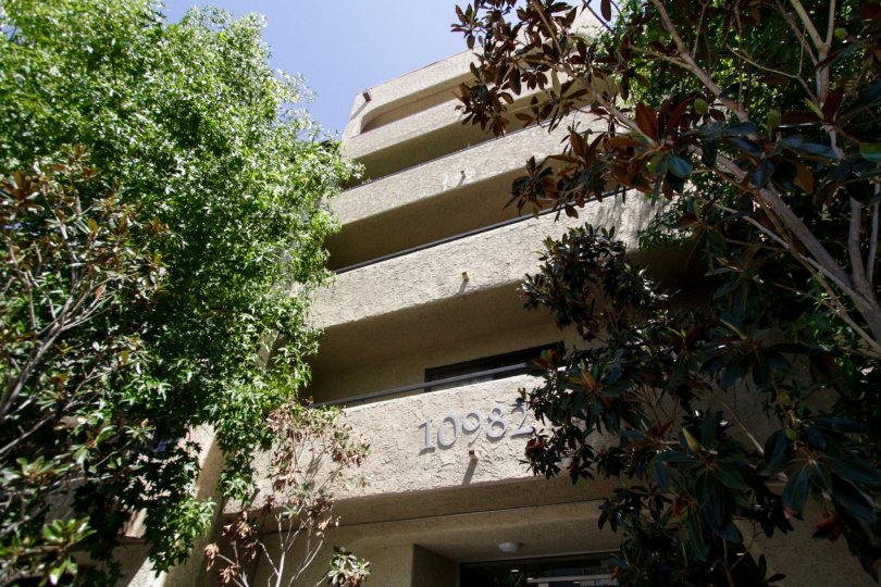 The numbers on the buidling at Club California