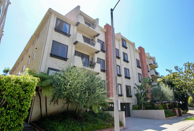 Front elevation view with shrubs and light pole of Glendon Terrace II in Westwood, CA