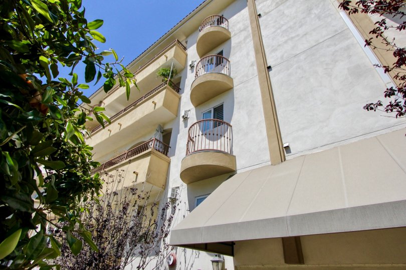 A sunny day in the Glendon Terrace with beautiful apartment and a big tree infrond of the apartment.
