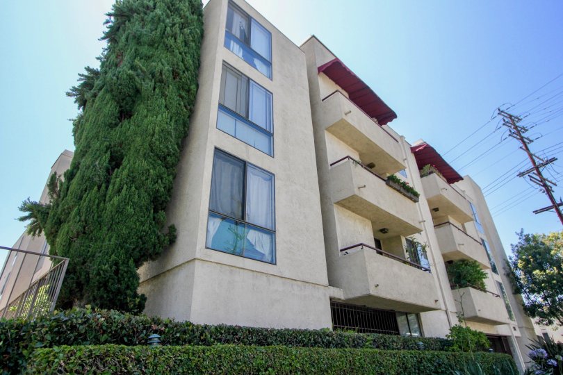 A sunny day in the Glendon Villas with beautiful apartment and a big tree infrond of the apartment.