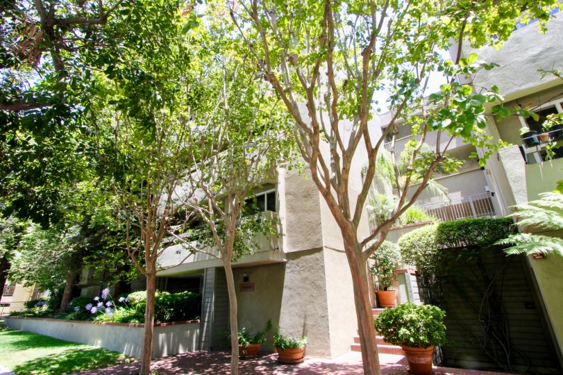 Greenfield East Is a eco friendly and beautiful gardening