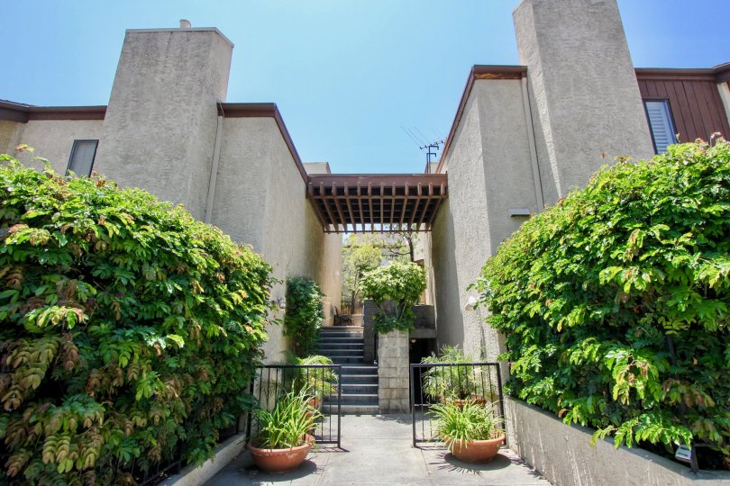 A beautiful day in the Greenfield Townhomes with a small gate and pots.