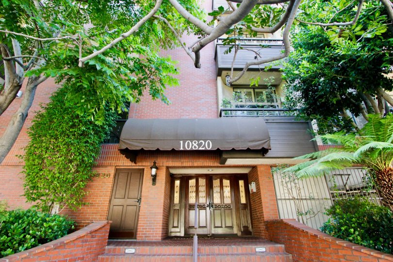 The building in westwood that should be covered with the tree.