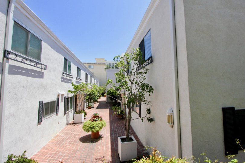 View of brick courtyard at Kelton Plaza apartments in Westwood, CA