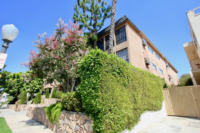 THE TREES TAKE PLACE IN THE FRONT OF THE APARTMENT. ITS VERY BEAUTIFUL.