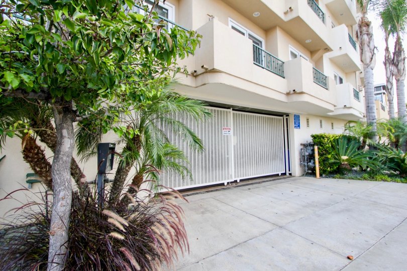 A sunny day in the Louisiana Heights with beautiful apartment and a big tree infrond of the apartment.