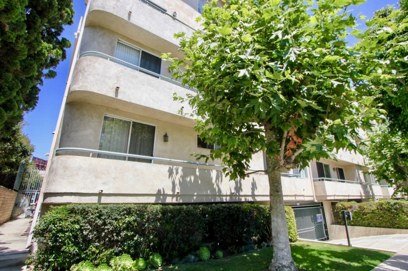 THIS IS ONE HOTEL ALL NATURE SCENE ARRIVED HERE MIDVALE COURT WESTWOOD CALIFORNIA